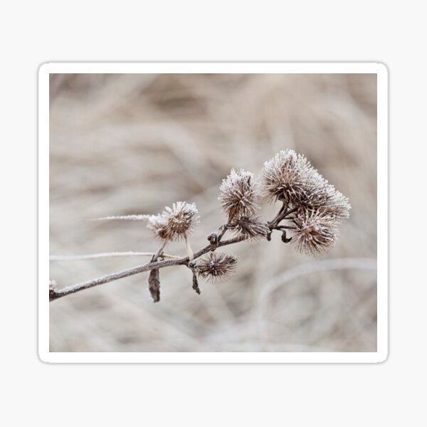 Item preview, Wintertime designed and sold by artsandsoul.