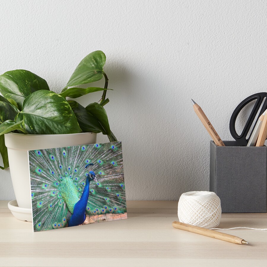 Item preview, Art Board Print designed and sold by OurBarbados.