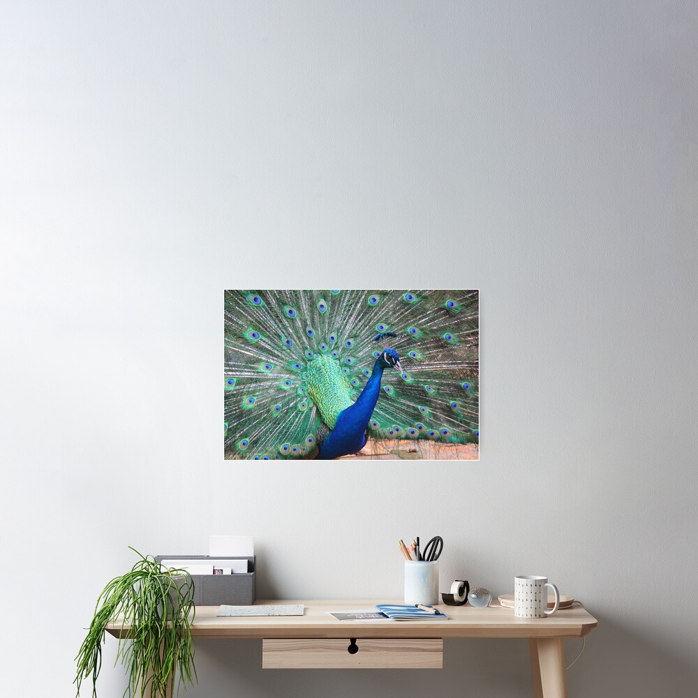 Item preview, Poster designed and sold by OurBarbados.
