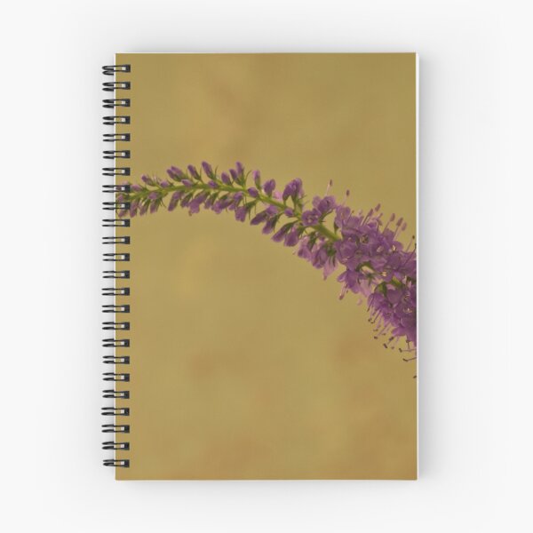 Item preview, Wild Campanula  designed and sold by Sandra Foster.