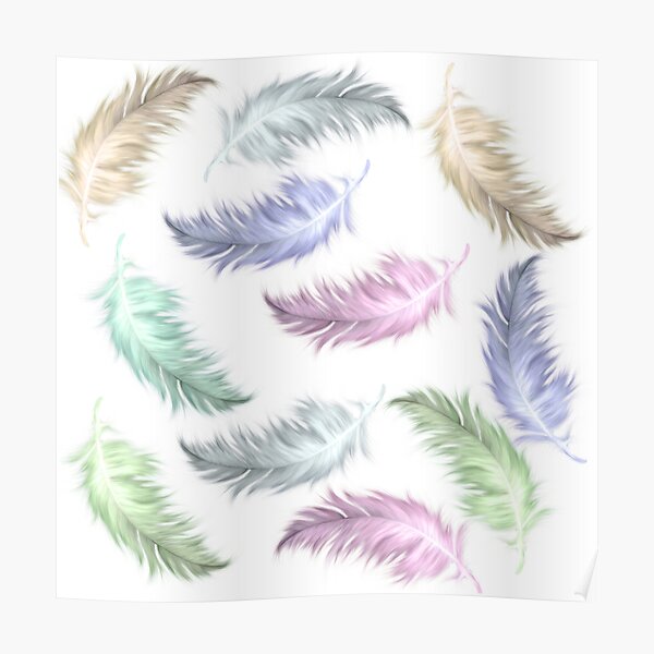 Beautiful Feathers Poster