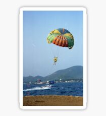 parasailing avocado Sticker