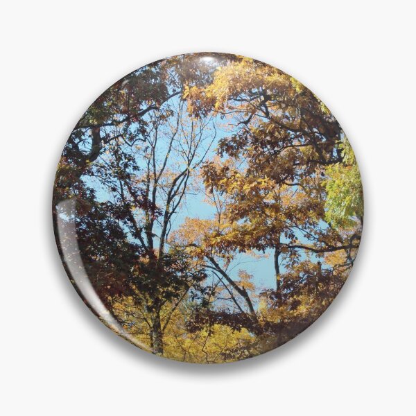 Artikelvorschau, Herbstwald entworfen und verkauft von Susie Kramer.