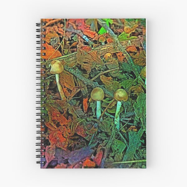 Item preview, Signs of Autumn, Mushrooms in the Fallen Leaves designed and sold by Abigail Brown.