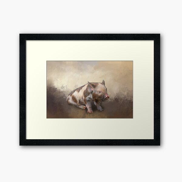 Miniature Pig Framed Art Print