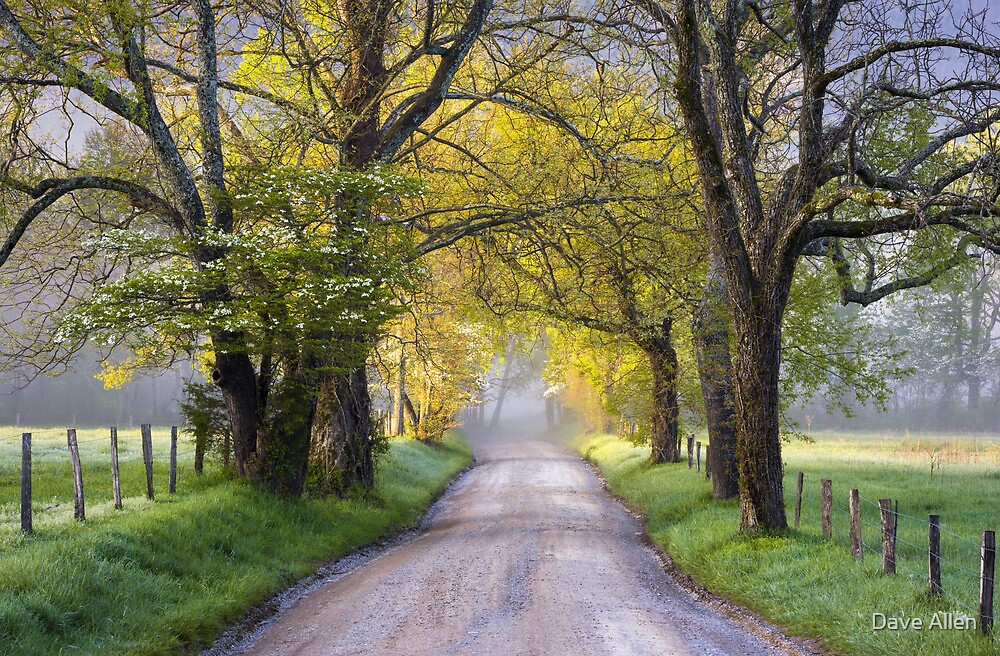 "Cades Cove Great Smoky Mountains National Park - Sparks Lane" By Dave ...