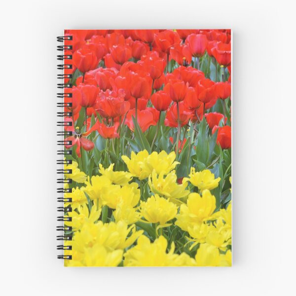Item preview, Red and Yellow Tulips designed and sold by Godisgr8t2me.