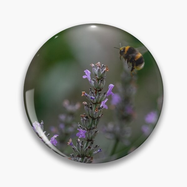 Item preview, Pollinating Bee designed and sold by kwn1804.