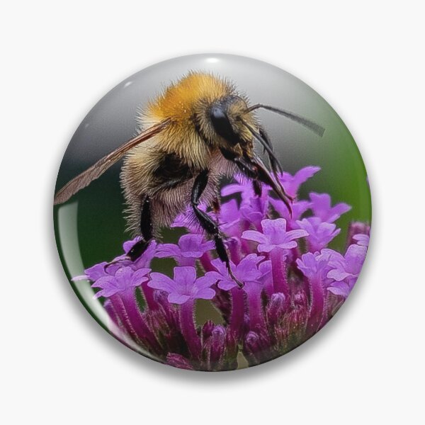 Item preview, Pollinating Bee designed and sold by kwn1804.