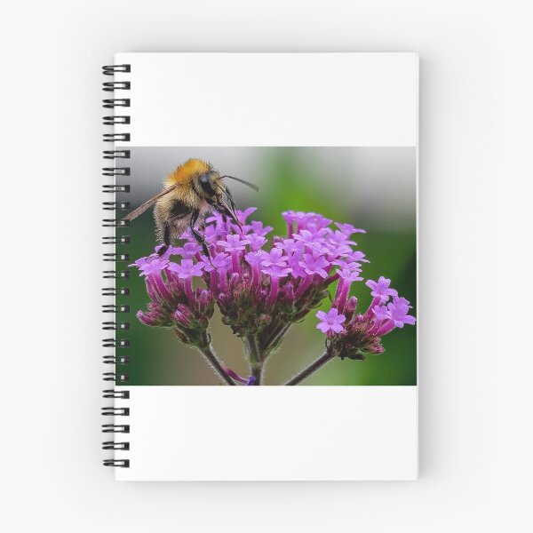 Item preview, Pollinating Bee designed and sold by kwn1804.