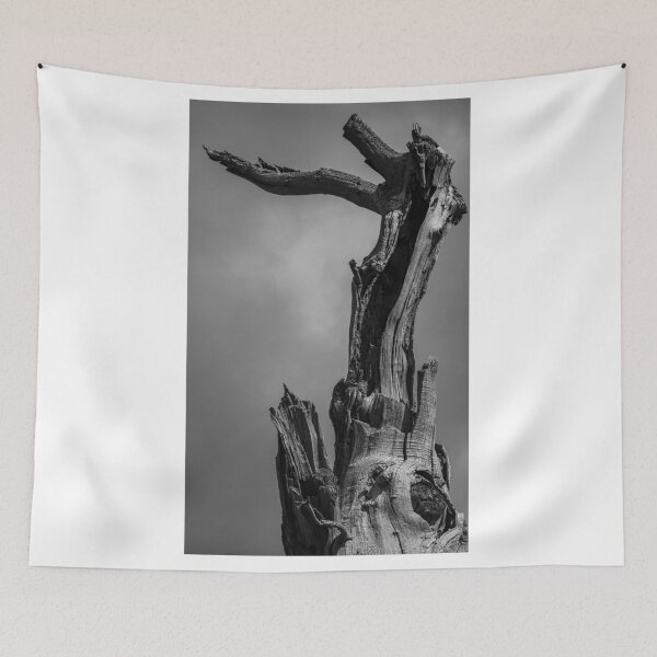 Item preview, The Stump Mono designed and sold by kwn1804.