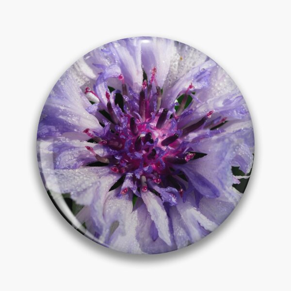 Item preview, Just the Bachelor's button 2 designed and sold by Jouko Lehto Photography.