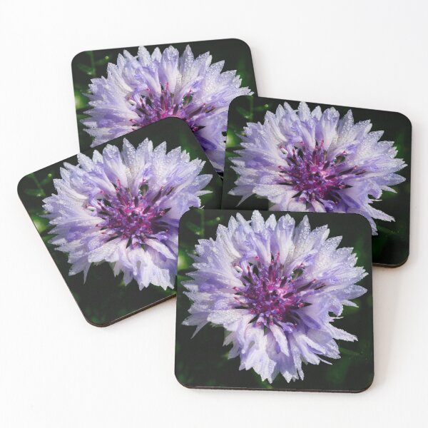 Item preview, Just the Bachelor's button 2 designed and sold by Jouko Lehto Photography.