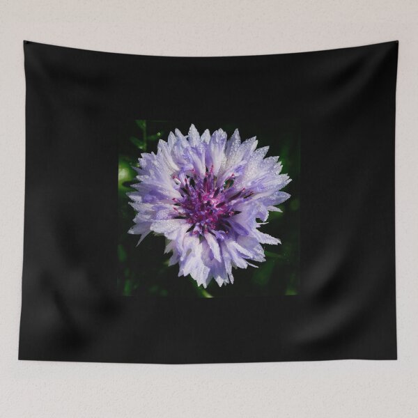 Item preview, Just the Bachelor's button 2 designed and sold by Jouko Lehto Photography.