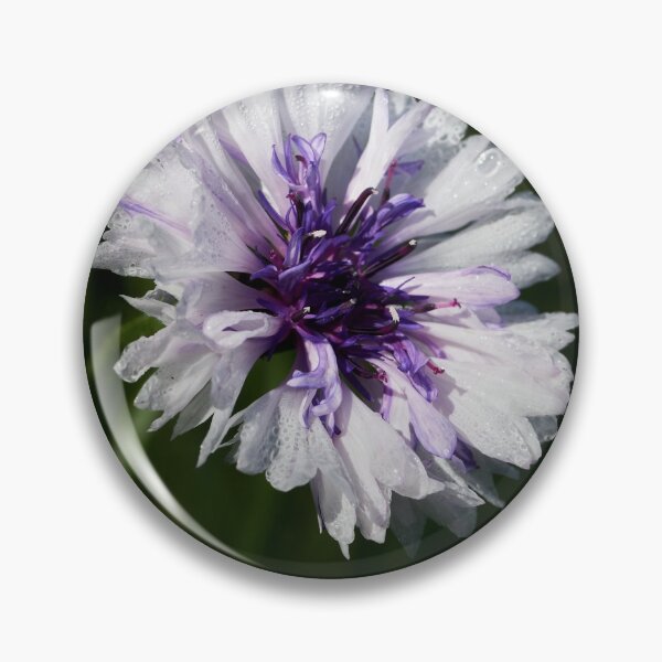 Item preview, Bachelor's button alone  7 designed and sold by Jouko Lehto Photography.