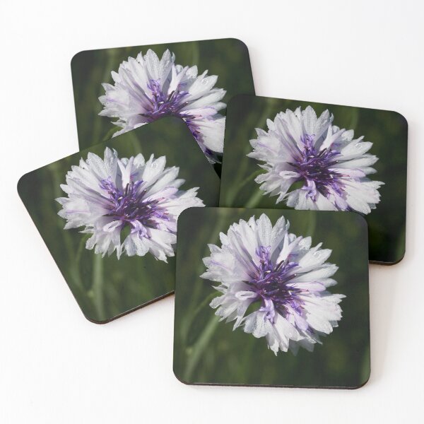 Item preview, Bachelor's button alone  7 designed and sold by Jouko Lehto Photography.