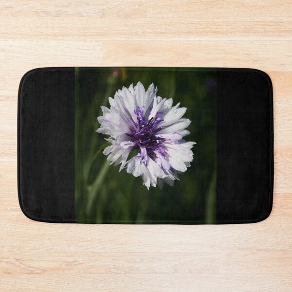 Item preview, Bachelor's button alone  7 designed and sold by Jouko Lehto Photography.