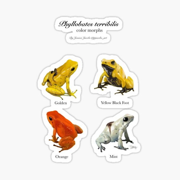 Item preview, Phyllobates terribilis  designed and sold by bluejayknits.