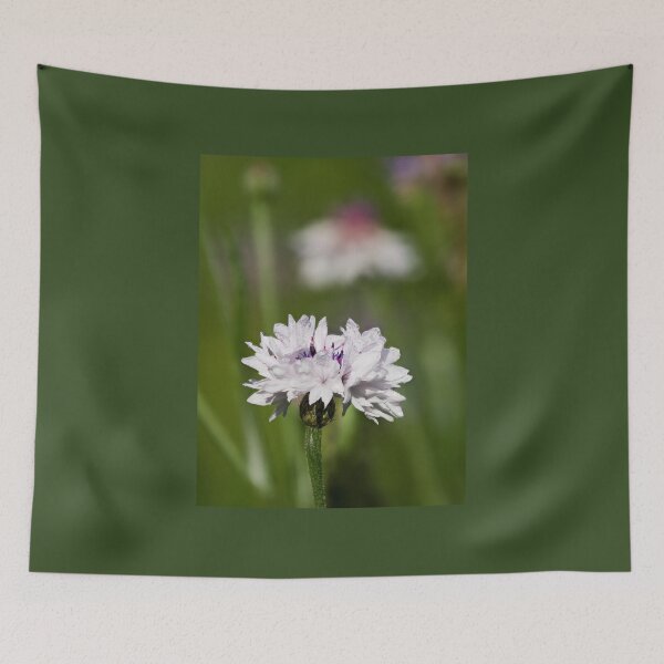 Item preview, The wet and white Bachelor's button 18 designed and sold by Jouko Lehto Photography.