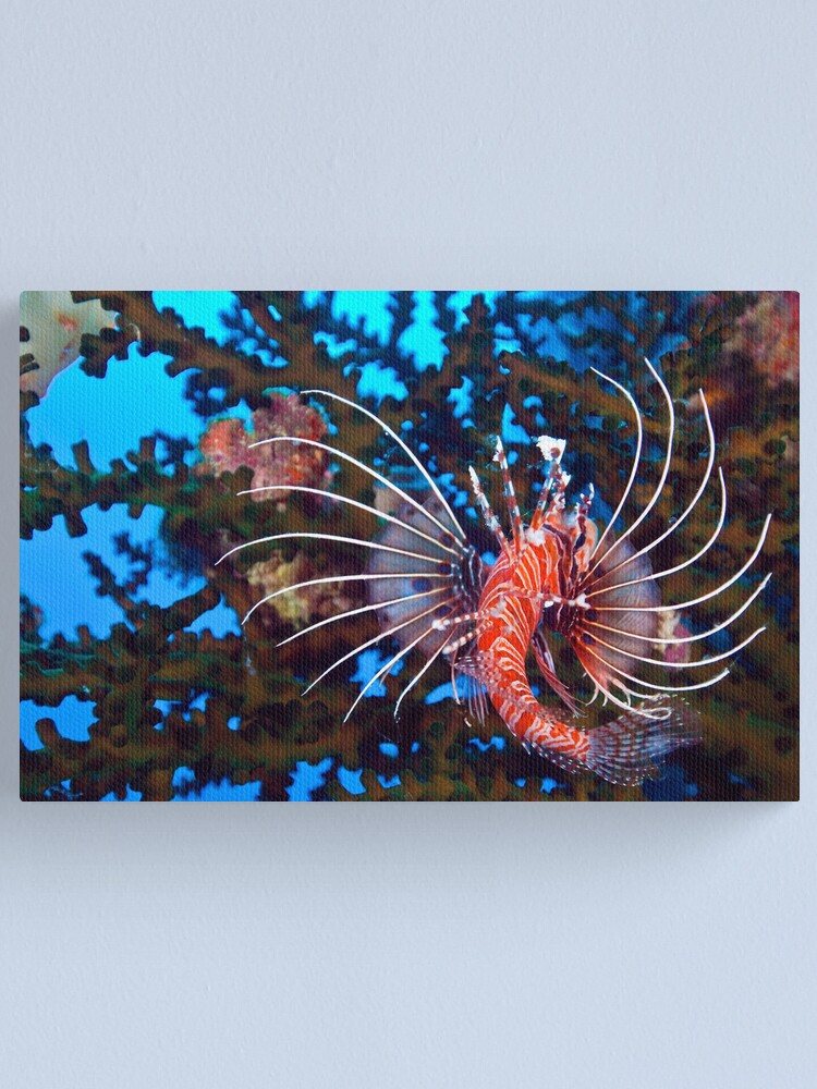 Alternate view of Flamenco Canvas Print