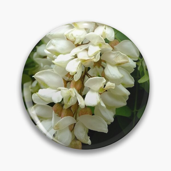 Item preview, Acacia Blossom designed and sold by pinkal.