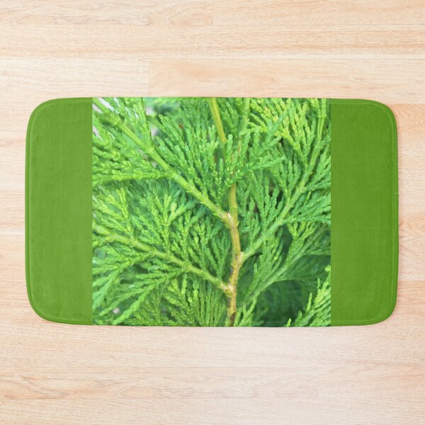 Item preview, Ceder  designed and sold by Mind2Line.