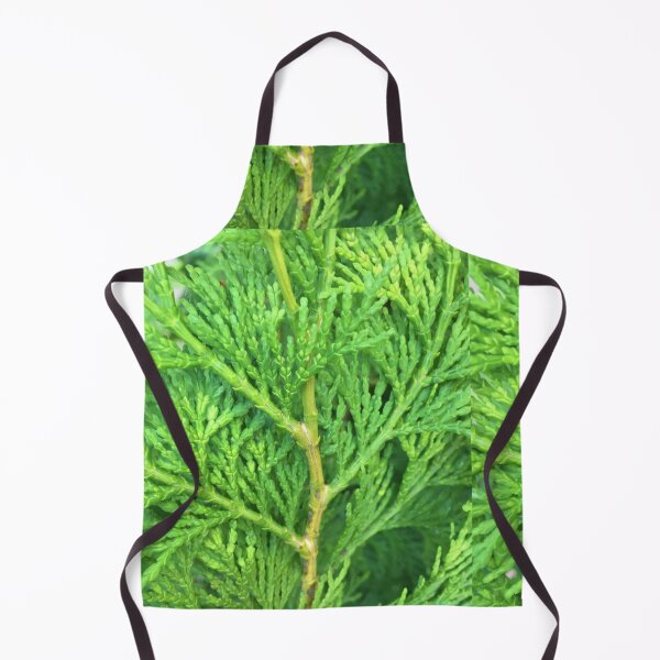 Item preview, Ceder designed and sold by Mind2Line.