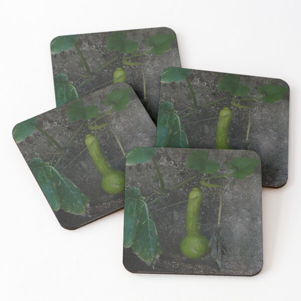 Item preview, Calabaza verde designed and sold by frogs123.