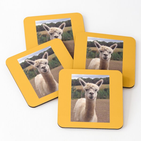 Item preview, Alpaca | Alpaka | Photography  designed and sold by aloresarts.