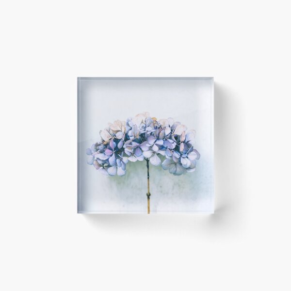 Item preview, Delicate Hydrangea designed and sold by Maria Heyens.