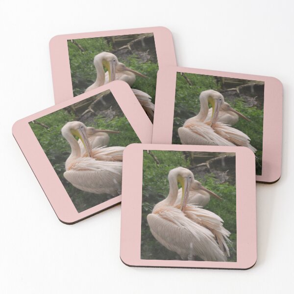 Item preview, Pink pelican Photography Edinburgh zoo designed and sold by aloresarts.