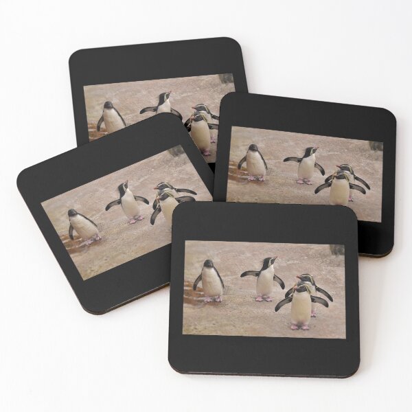 Item preview, Penguins Photography Edinburgh Zoo designed and sold by aloresarts.
