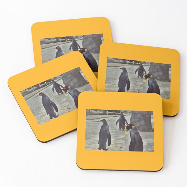 Item preview, Penguins Photography in Zoo Edinburgh designed and sold by aloresarts.