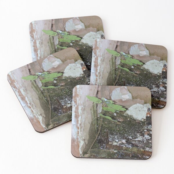 Item preview, Urban Takeback - Nature Returns - RAF Nocton Hall Hospital, Lincoln, Lincolnshire, England  [167] designed and sold by BeautonFashions.