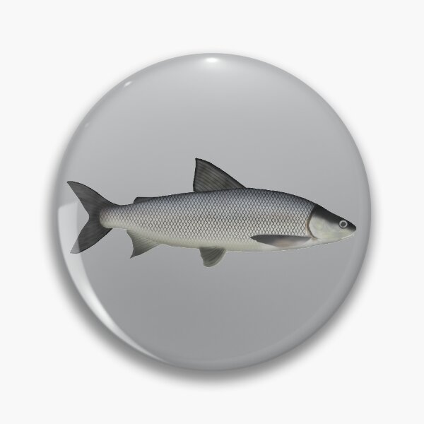 Item preview, Lake Whitefish designed and sold by fishfolkart.
