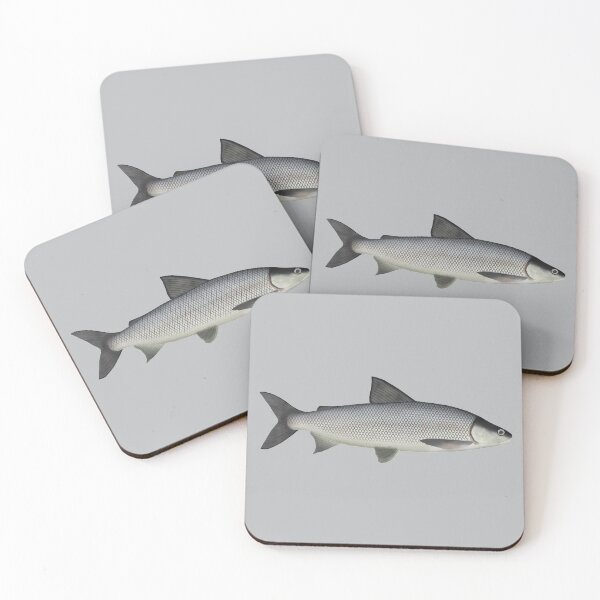 Item preview, Lake Whitefish designed and sold by fishfolkart.