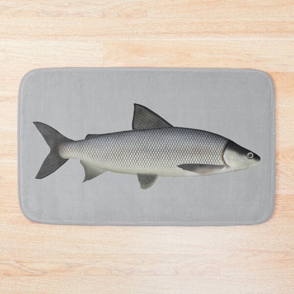 Item preview, Lake Whitefish designed and sold by fishfolkart.
