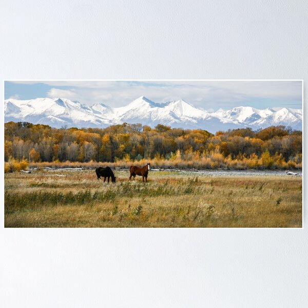 Fall Landscapes Poster