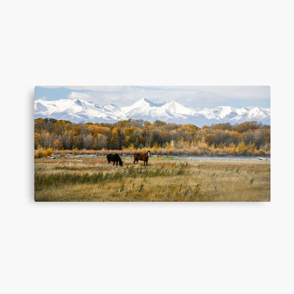 Fall Landscapes Metal Print