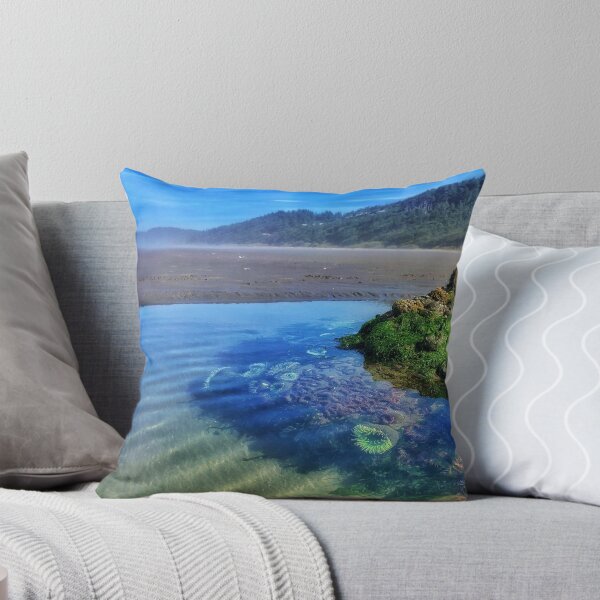 Item preview, Tide Pool At Ocean Beach designed and sold by tammyschroder.