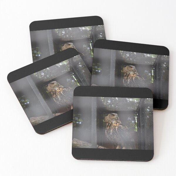 Item preview, Owl Photography  designed and sold by aloresarts.