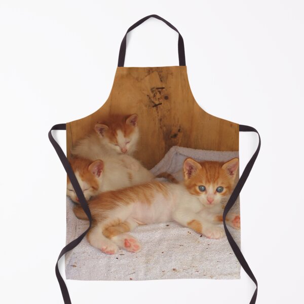 Item preview, Kittens designed and sold by Vicki Spindler (VHS Photography).