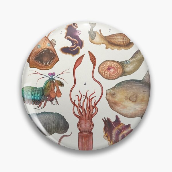 Item preview, Peculiar Sea Creatures designed and sold by Cabinet Of Curiosities by Vlad.