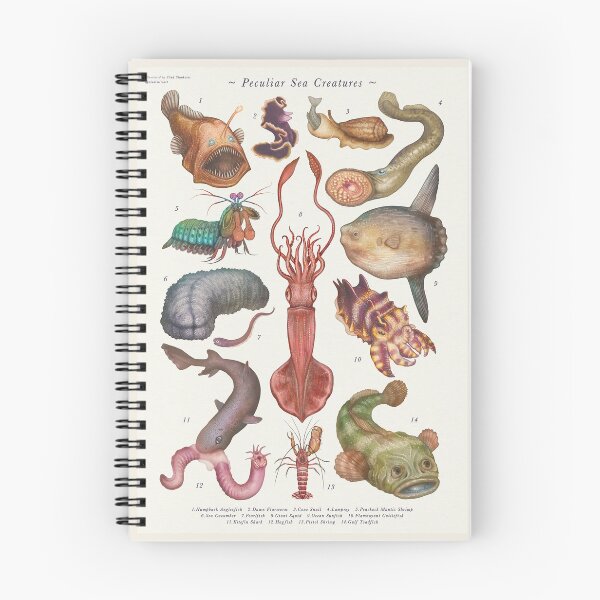 Item preview, Peculiar Sea Creatures designed and sold by Cabinet Of Curiosities by Vlad.