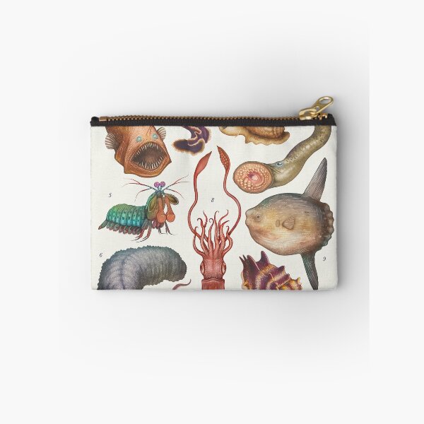 Item preview, Peculiar Sea Creatures designed and sold by Cabinet Of Curiosities by Vlad.