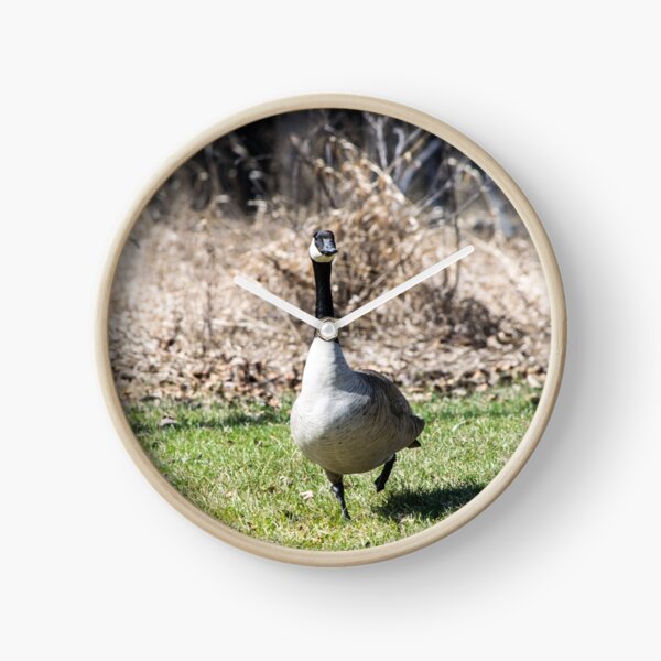 Item preview, Canada Geese designed and sold by CanadianWild418.