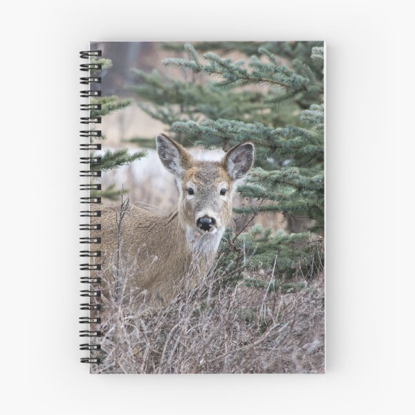 Item preview, White tailed deer designed and sold by CanadianWild418.