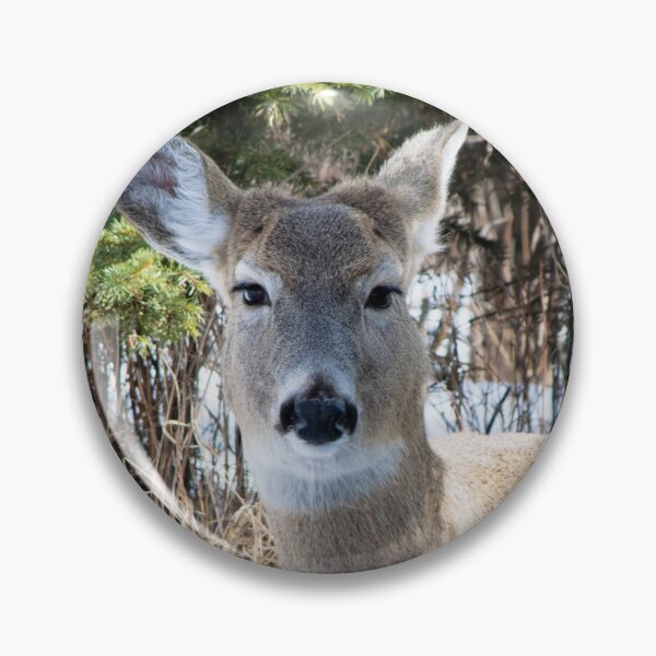 Item preview, White tailed deer designed and sold by CanadianWild418.
