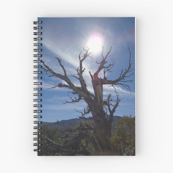 Item preview, Stark Desert Scenery designed and sold by KristinaL.
