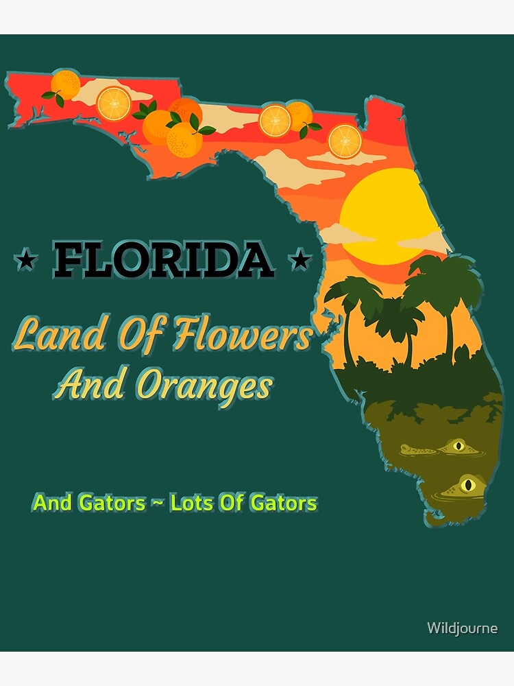 Land of Flowers Florida Pullover Hoodie Land of Flowers Florida Pullover Hoodie